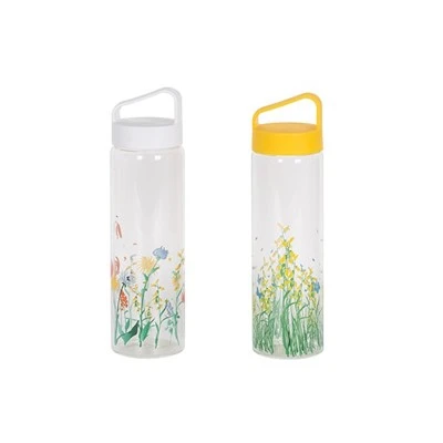 Bouteille d'eau en verre borosilicaté des décalcomanies d'impression faite sur commande de sport 550ml avec le couvercle